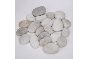 Hisredsun 21 Flache Steine zum Bemalen, 3-5 cm Glatte Große Kieselsteine, Dekosteine Naturstein,Natürlicher Flussstein für Mandala Bemalen,Zen Garten,Blumentöpfen und Aquarien