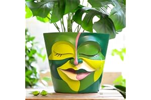 GUGUGO 8 Inch Abstract Rainbow Face Planter, Unique Head Planters with Drainage, Cute Eclectic Flower Pots for Garden, Indoor or Outdoor, Green