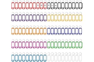WUPENGZON Pack of 100 Key Fobs, Plastic Key Rings with Labels, Key Tags Can Be Written On with Key Rings for Keys, Home, Offices, Pet ID, Suitcase, Luggage Tags (10 Colours)