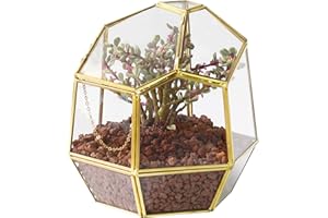 NCYP 19cm Terrario de Vidrio geométrico pequeño Hecho a Mano con Puerta con Cierre, Maceta Irregular de latón para Plantas suculentas Cactus Mesa, Maceta de jardinería Moderna Regalo (Solo terario)