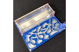 ANT GRAPE Ant Farm Educational Formicarium für LIVE Ameisen Reagenzglas Feuchtigkeit großer Raum Acryl Ameisennest, Insektenameisen Villa House Ants Ecological Workshop (Himmelblau)