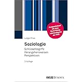 Die Sozialstruktur Deutschlands Zur Gesellschaftlichen Entwicklung Mit Einer Bilanz Zur Vereinigung Mit Einem Beitrag Von Thomas Meyer Ebook Geissler Rainer Amazon De Kindle Shop