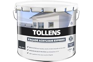 Tollens - Peinture Façade Acrylique - Pour Murs Extérieurs, Murets, Abris de Jardin - Mat - Ton Gris - 10L = 70m2 3T28872
