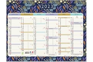 Exacompta - 34353E - Calendrier Mini Labo avec décor recto-verso - 29,5 x 22 cm - Semestriel janvier à décembre 2024