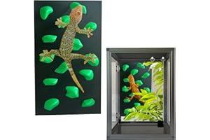 Okueejur Rock Climbing Wall for Bearded Dragons Climbing Rock Wall Grips for Bearded Dragons Tank Accessories Reptiles Toy Rock Wall Holds (Green)