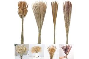 SHOKAN Pampasgras Deko, 100 Sträuße Getrocknetes Natur-Pampasgras, Trockenblumen Deko Pampasgras Klein für Boho Deko Wohnzimmer Schlafzimmer Hochzeits Deko, Pampasgras zur Dekoration von Vasen