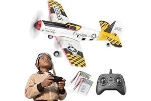 BEZGAR 3-Kanal RC Flugzeug, 6-Achsen-Gyro 2.4GHz Flugzeug ferngesteuert, ferngesteuerte Flugzeuge Remote Control Plane einfache Steuerung für Anfänger, Kinder, Erwachsene, HQ089 Gelb