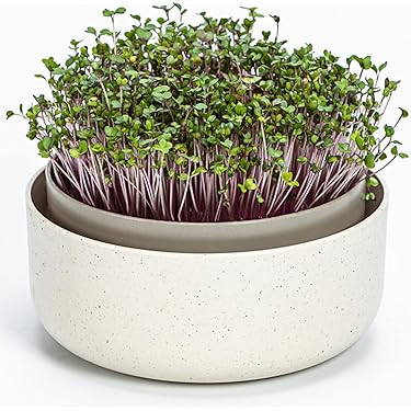 KINGLAKE 5.4 Cm Anzuchttöpfe Pflanztöpfe Anzucht Kleine, 50 Stück