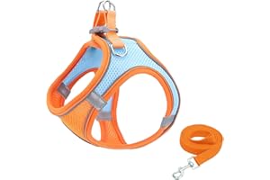 GIAPINST Pettorina Cane, Pettorina Gatto Antifuga, Gilet per Animali Domestici Regolabile con Rete Traspirante e Striscia Riflettente per Cani e Gatti di Piccola, Media Taglia (M-Arancione e blu)