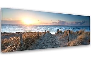 FEEBY FRAMES Feeby Cuadro En Lienzo Playa Mar Agua Paisaje 120x40 cm 1 Pieza Modernos Impresión Artística Imagen Decoración de Pared Salon Dormitorio Cocina Oficina Pasillo Vista Forma Arena Hierba Azul Marrón