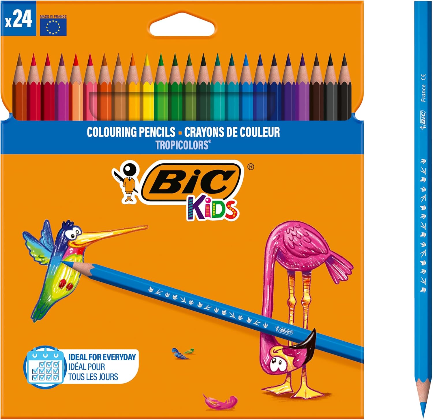 BIC Kids Tropicolors Crayons de Couleur - Couleurs Assorties, Fabriqués Sans Bois - Etui Carton de 24