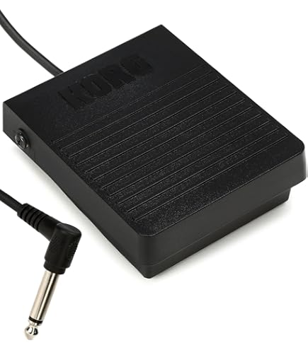 KORG EXP2 Foot Controller For MIDI Keyboards, Black : Amazon.in