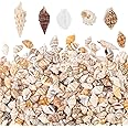 PH PandaHall 1400-1500pcs Sea Shell Beads 7-12mm Tiny Crushed Shells Miniature Shells NO Hole Seashells Ocean Spiral Seashells for Resin Candle Home Party Wedding Fish Tank Vase Filler