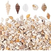 PandaHall 1400-1500pcs Small Sea Shell Spiral Length 7-12mm for Candle Making, Beach Theme Party Decoration, Fish Tank Vase F