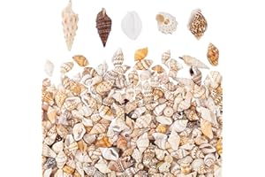 PH PandaHall 1300-1500pcs No Hole Spiral Shell Beads Terrarium Small Shells for Crafting Natural Tiny Seashells for Plants Resin Craft Vase Filler Party Wedding Home Decor 7~12mm