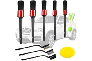 SEASBOES Juego de Cepillo de Limpieza, Car Detailing Kit, Auto Car Detailing, Kit Limpieza Coche, para Lavado Ruedas, Motor, Ventilación de Aire, Moto, Interior y Exterior （10 Pcs）
