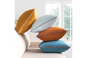 NOSTHEART Federe Cuscini Divano 50x50 Set da 4 Fodera per Cuscino Velluto Morbido Decorativo Federa Cuscino Copricuscini Decorativi per Soggiorno, Camera da Letto