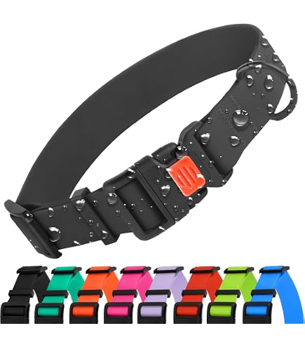 Biothane Hundehalsband Mit Dornschnalle – Schmutz- & Wasserabweisend, Gelb, Halsumfang 30-40 Cm