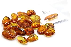 Generic Baltic Amber With Insect Trapped Millions of Years Ago - Certified Lithuanian Fossil