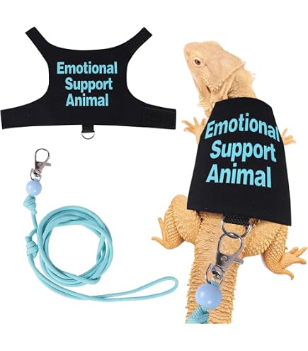 Hundegeschirr & Leine Für Reptilien – Verstellbar & Reflektierend Mit „I Love My Mom“