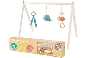 Little Big Friends Palestra di attività in legno | Il giocattolo Montessori incoraggia le abilità motorie precoci | Oceano