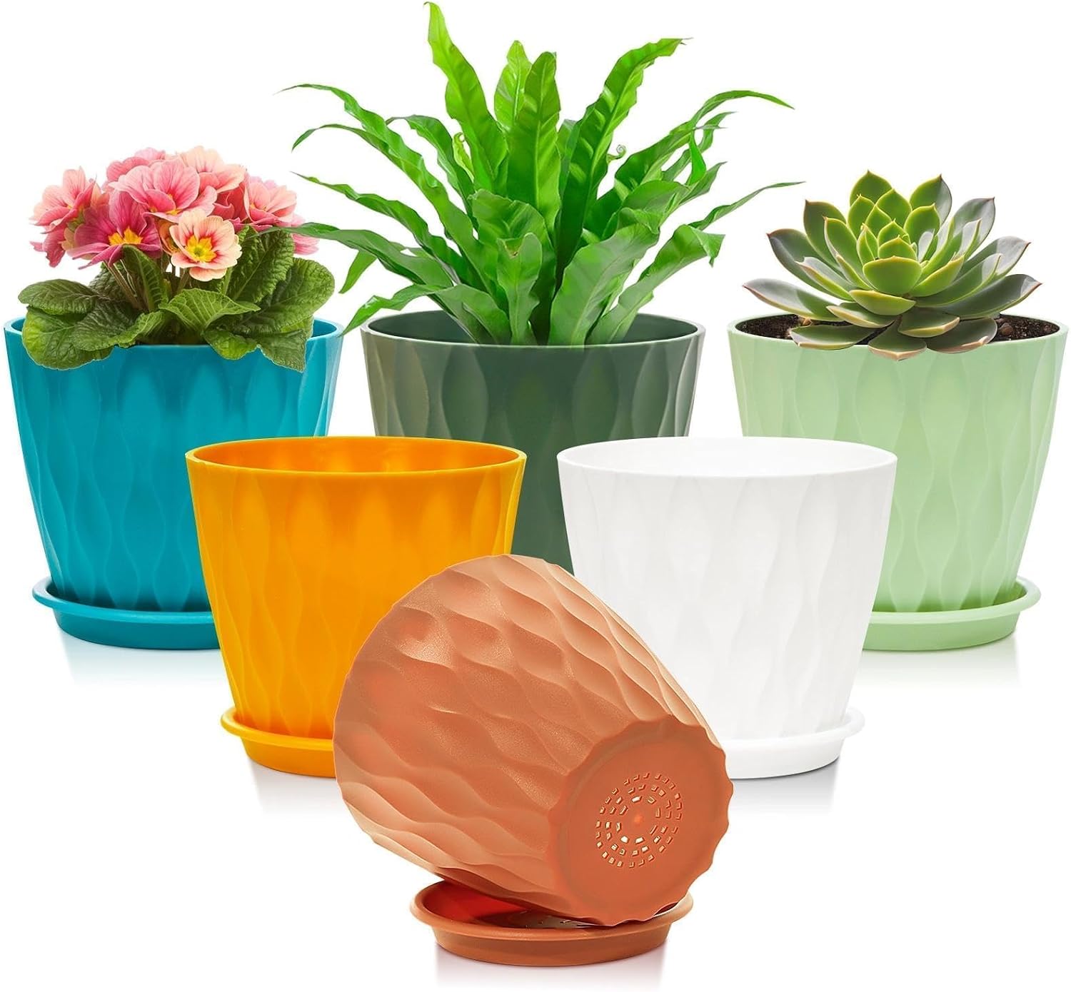Omtofo Maceteros Decorativos Interior de Plástico 15.4 cm con Plato, 6 Piezas Maceta Redonda con Orificios de Drenaje, Macetas Plastico para Interior y Balcón, Suculentas y Cactus