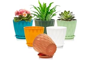 Omtofo Maceteros Decorativos Interior de Plástico 15.4 cm con Plato, 6 Piezas Maceta Redonda con Orificios de Drenaje, Macetas Plastico para Interior y Balcón, Suculentas y Cactus