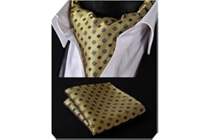 HISDERN Ascot a Pois Uomo e Fazzoletto Stripe Cravatta da Matrimonio Elegante Foulard Business Classico Ascots Set