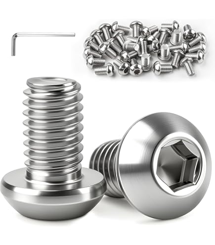 Schroef met lenskop RVS M6 x 70 mm voor veiligheidsbeslag kopen