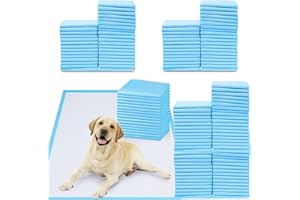 SUPER MUNDO SM Super Mundo - 120 Empapadores Perros, 60cm x 60cm, Alfombrilla higiénica para Perros para Mascotas, Absorbentes(60 x 60cm, 120pcs)