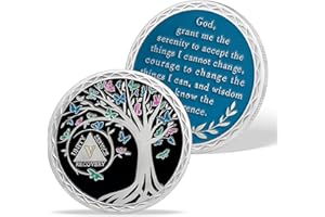 AtSKnSK 1 à 20 ans sobriété Pièce de monnaie douze mois puces AA et médaillons sobriété Cadeaux pour femmes hommes alcooliques anonyme dépendance récupération cadeau (5 ans)