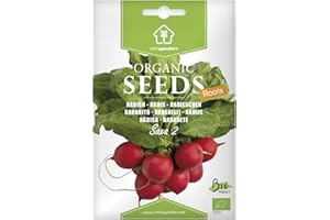 Radis rond Saxa, Graines certifiées biologiques prêt à Pousser Minigarden, 100% Naturelles sans Propagateurs Chimiques ni Génie Génétique, inclut entre 500 et 750 graines