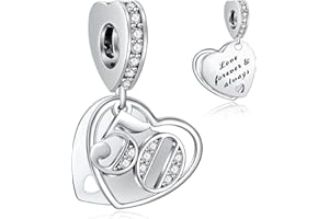 NINGAN 16,18,21,30,40,50,60 Abalorios Charms Colgantes de Encanto familia eterna Cuentas Plata de Ley 925 con Compatible con Pulsera Charms para Mujer Niña