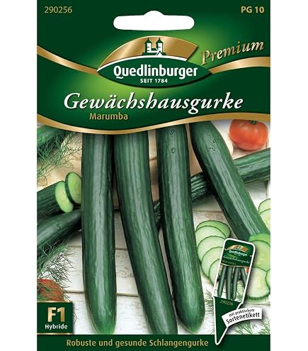 Pindos F1 Gurkensaatgut – Rein Weiblich Blühende Treibhausgurke Mit Hohem Ertrag & Mehltauresistenz