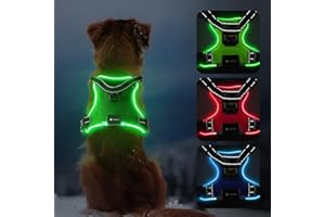 MASBRILL Harnais Chien Lumineux, LED Harnais Chien Anti Traction Réglable pour Petit Moyen Grand Chien, Réfléchissant Réglable Harnais avec 2 Anneaux et Poignée Contrôle, Facile à Mettre(Vert,XL)