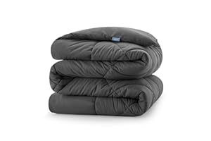 CozyLux Piumino Letto Matrimoniale 220x240 cm per 4 Stagioni, Piumino in Fibra 300 g/m² Autunnale Invernale, Trapunta in Microfibra Morbida e Traspirante, 240x220, Gris