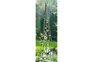 Dekoleidenschaft Convertisseur d'oiseaux en métal aspect vieilli - Hauteur : 106 cm - Support pour plantes grimpantes