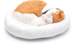 Whyzsjnclg fylld katt förtjusande realistisk katt plysch andas mjuk naturtrogen för hem kontor bil, gul, 30 x 25 cm