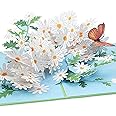 papercrush® Flowers Pop-Up Card Daisies with Butterfly - 3D Flower Card for Her (Happy Birthday, Thank You, Mother's Day), Money Gift & Voucher for Gardeners (Wife, Mom, Auntie) - Get Well Soon Billet