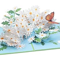 Wonderschone Kolibrie Vogel & Hibiscus Bloemen 3D Wenskaart