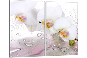 DarHaus Tabla de cortar decorativa de cristal templado y cubre vitro, Placa protectora de vitrocerámica 30 x 52 cm 2 piezas, para inducción, protección contra salpicaduras, decoración, ORQUÍDEA