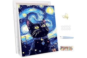 MEIYUDA Pintar por Numeros Adultos con Marco Gato negro, DIY Noche estrellada Cuadro al óleo con Números para, Kit de Pintura al óleo Digital para Adultos de Lienzo, Decoración para el Hogar 30x40cm