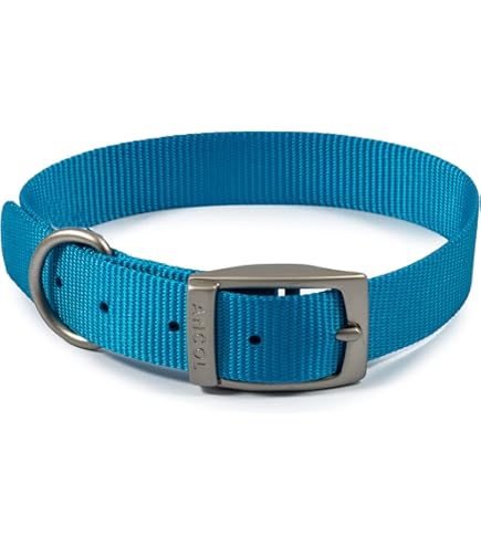 Medaglietta Per Cane Scooby-Doo - Plastica Resistente, Portachiavi Per Collare, Taglia Medium