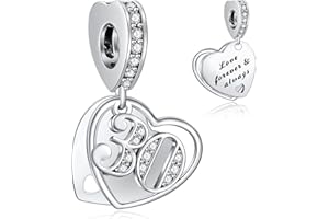 NINGAN 16,18,21,30,40,50,60 Abalorios Charms Colgantes de Encanto familia eterna Cuentas Plata de Ley 925 con Compatible con Pulsera Charms para Mujer Niña
