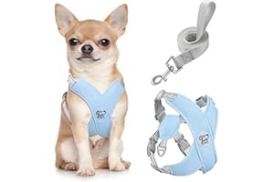 Pawaboo Set di pettorina e guinzaglio per cani di piccola taglia, con struttura a X, anti-tiro, anti-soffocamento, regolabile per cani di taglia piccola e media, morbida pettorina traspirante per