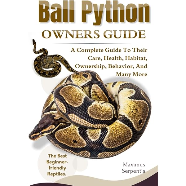 Ball Python Care Guide Checklist Ball Python Care Uk