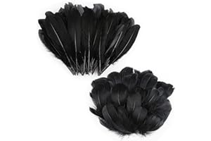 RISF Lot de 200 plumes noires, pour décoration de table, attrape-rêves, boucles d'oreilles, bricolage, mariage