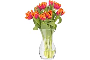 TREND FOR HOME Vase Fleur 25 cm Vase Tulipe Vase en Verre pour Fleurs Decoratif Vase à Fleurs en Verre Décoration Chambre Vase Fleur Transparent | ⌀ 14 cm | 2410 ML | Lily