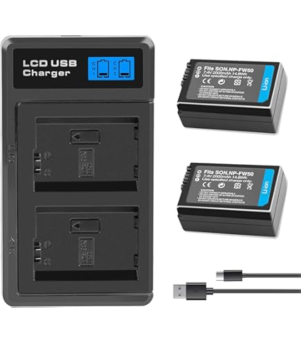 CS-FS21 Batterie 2880mAh Compatible Avec [Sony] Pour DCR-PC1, Pour