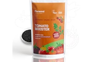 Florasoul® Engrais Tomate – Bio Vegan pour des Plantes Vigoureuses et des Tomates Aromatiques | Soluble dans l'Eau, Sans Odeur, 500g pour 350L | Rendement et Qualité Optimaux